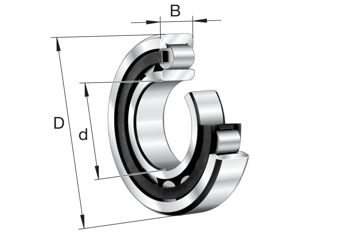 Cuscinetto a rullo FAG, Ø int. 45mm, Ø est. 85mm, guida larga 23mm