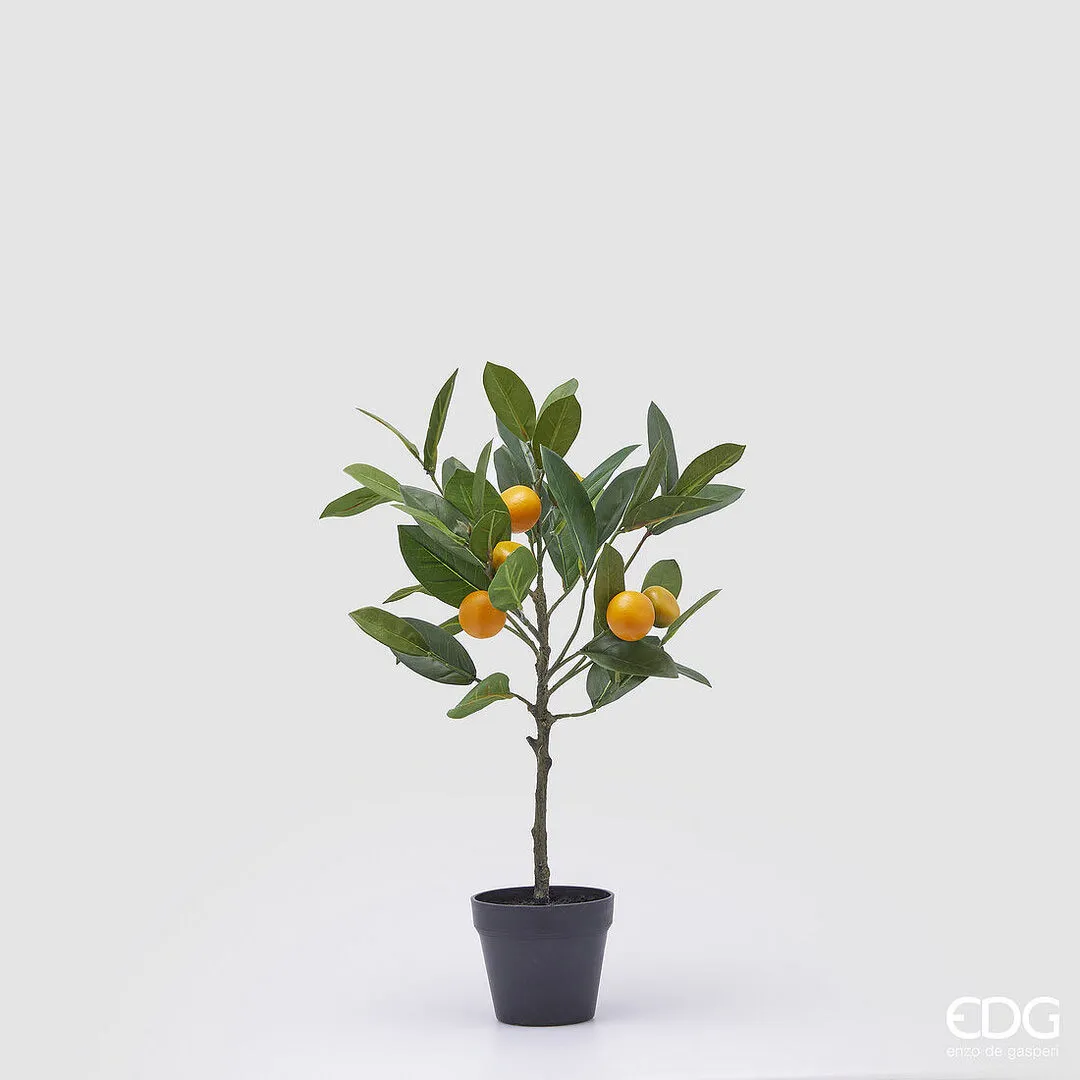 EDG - Enzo de Gasperi  Pianta artificiale Mandarino con vaso