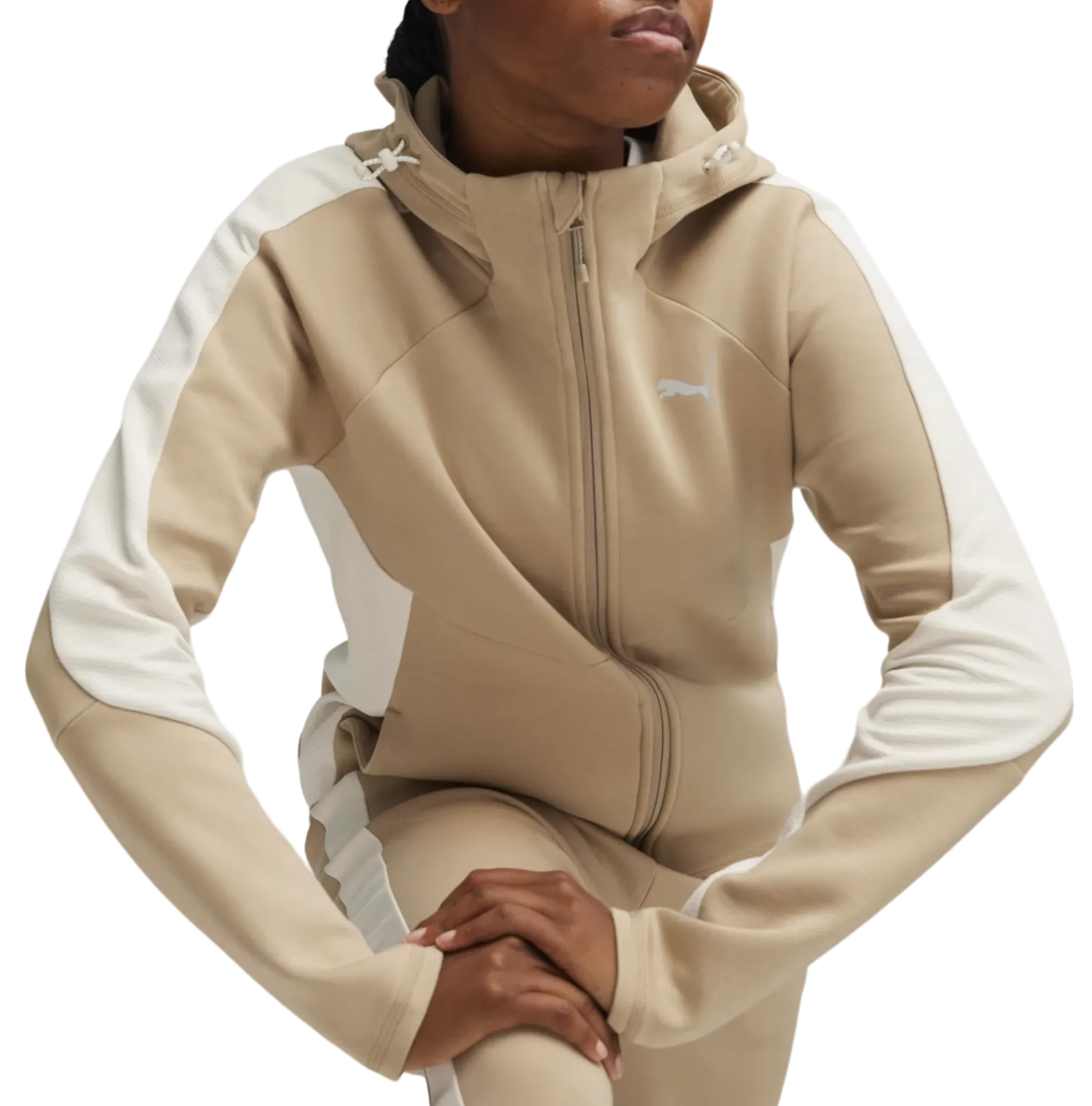 Felpe con cappuccio Puma Evostripe Hoody