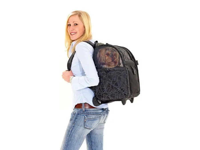 Flamingo Smart City trolley per cani e gatti