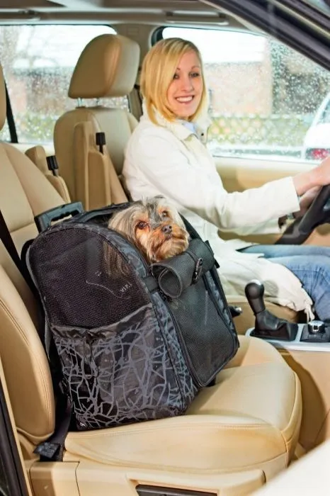 Flamingo Smart City trolley per cani e gatti