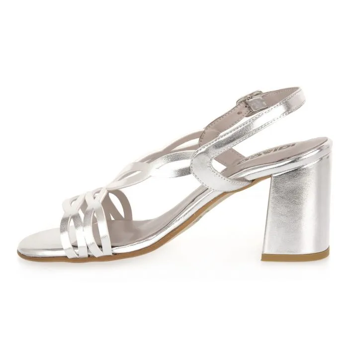 IGI & CO DENISA ARGENTO