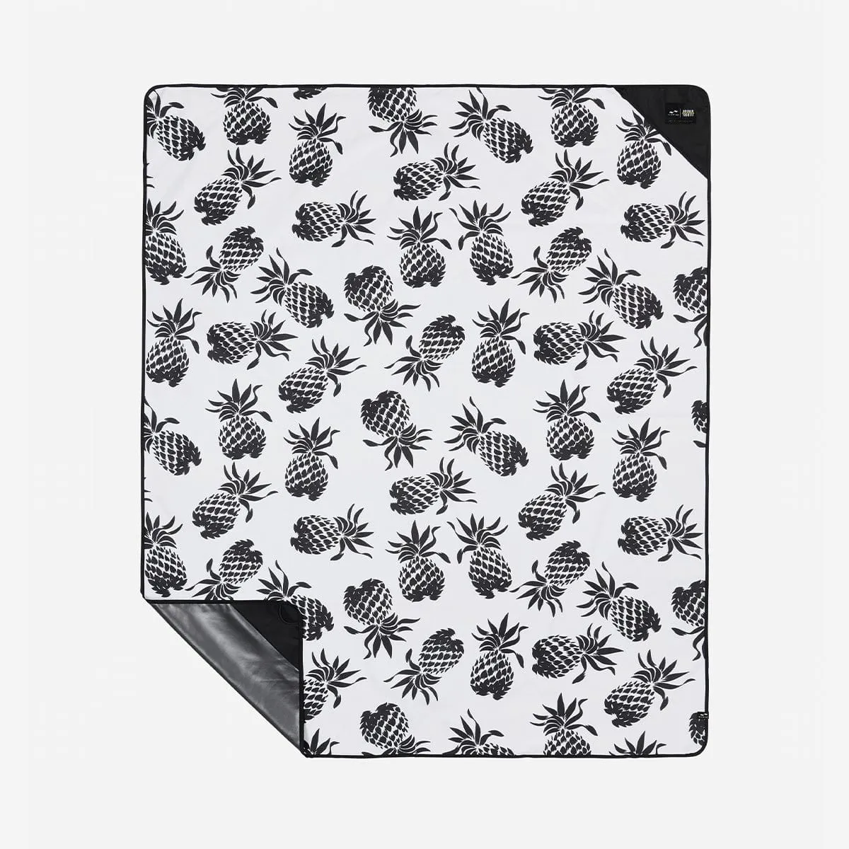 Pineapps Park Blanket