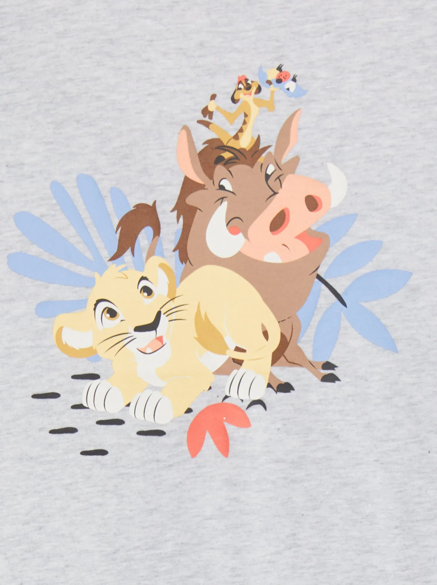 T-shirt a maniche corte 'Re Leone' - GRIGIO